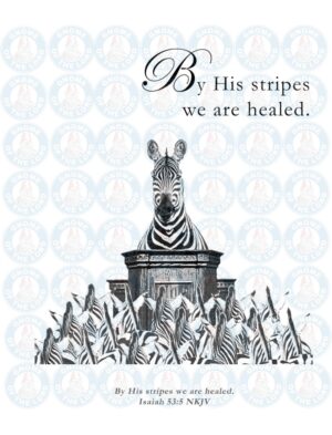 21_byhisstripes front wm